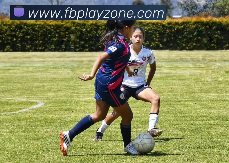 FB体育服务体系